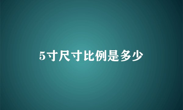 5寸尺寸比例是多少