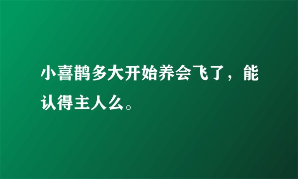 小喜鹊多大开始养会飞了,能认得主人么。