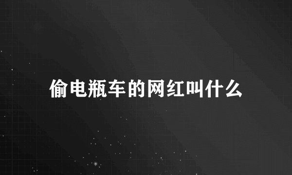 偷电瓶车的网红叫什么
