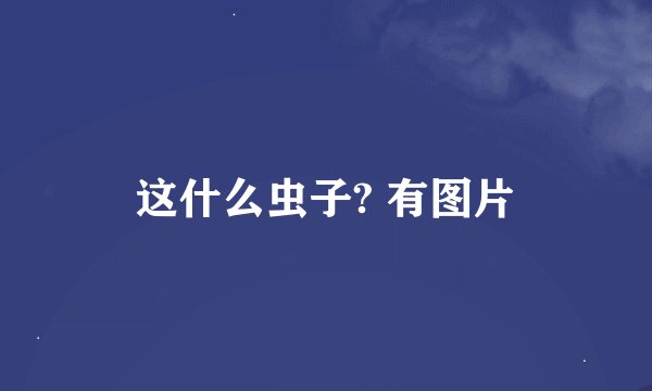 这什么虫子? 有图片