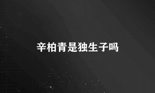 辛柏青是独生子吗