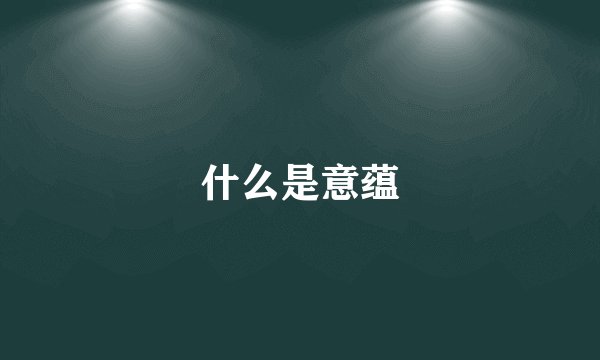 什么是意蕴