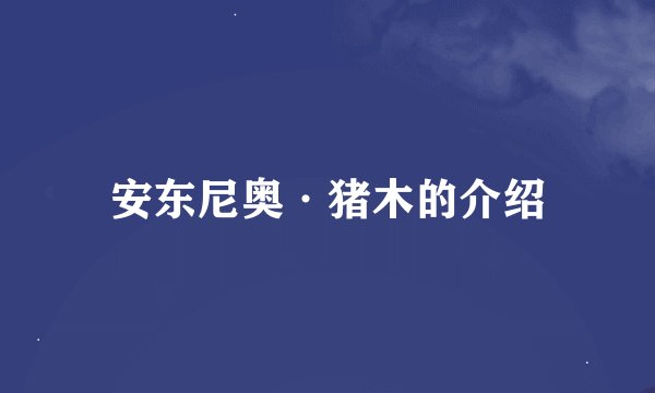安东尼奥·猪木的介绍