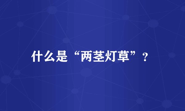 什么是“两茎灯草”？