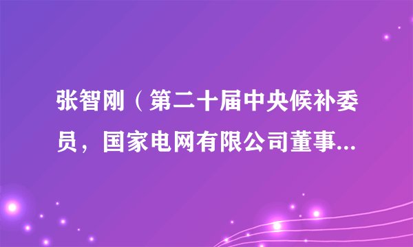 张智刚（第二十届中央候补委员，国家电网有限公司董事、总经理、党组副书记）