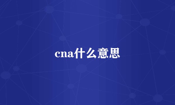 cna什么意思