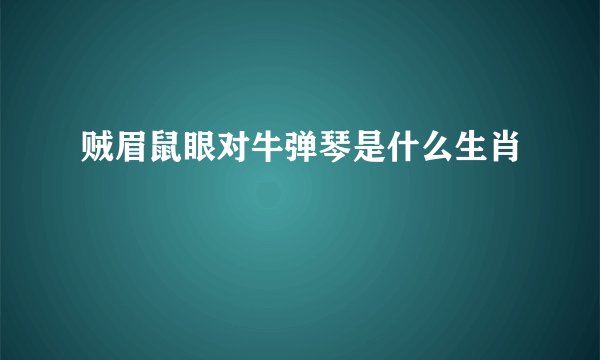 贼眉鼠眼对牛弹琴是什么生肖