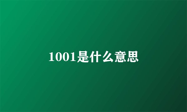 1001是什么意思