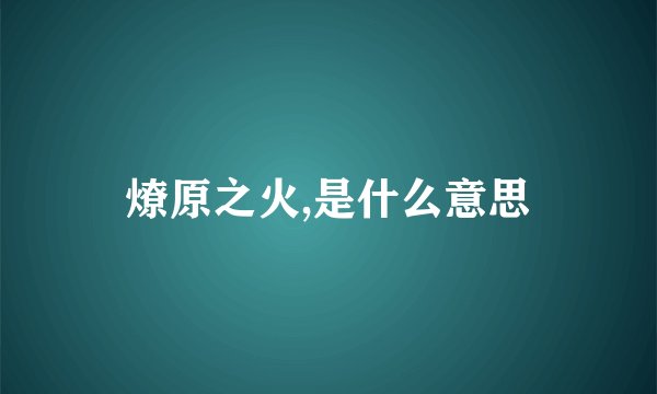 燎原之火,是什么意思