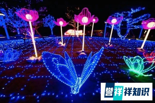 闪闪的什么?_
