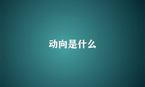动向是什么