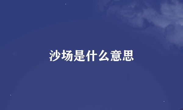 沙场是什么意思