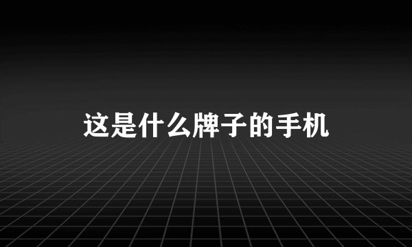 这是什么牌子的手机