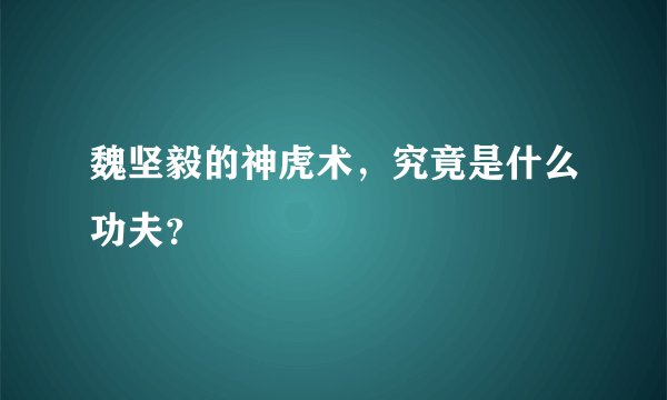 魏坚毅的神虎术，究竟是什么功夫？
