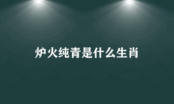 炉火纯青是什么生肖