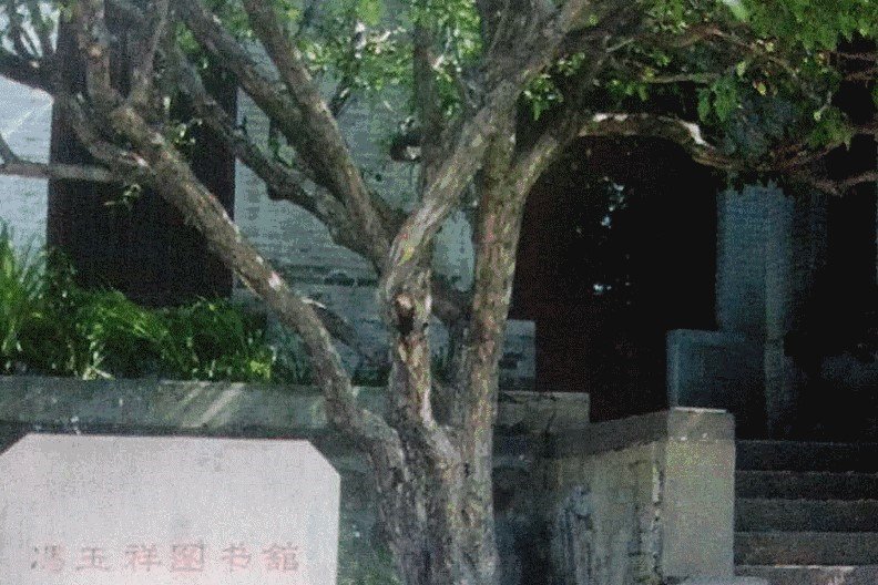 东北王是张作霖,那么东南、西南、西北的王,又分别是谁?