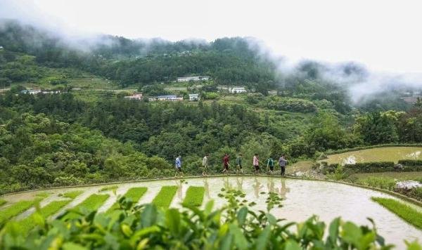 芒种,夏收夏种正当时 | 图瞰风云