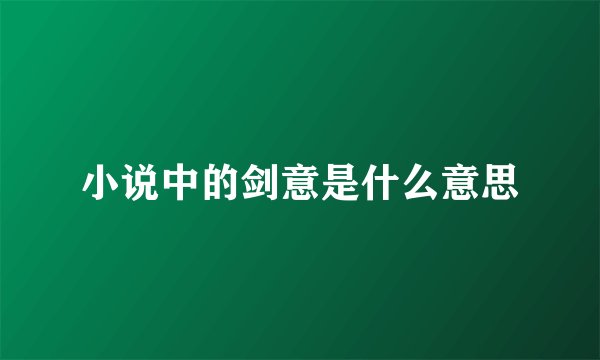 小说中的剑意是什么意思