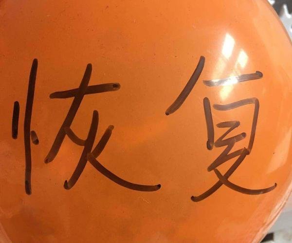 恢复是什么意思