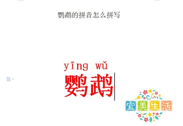 鹦鹉的拼音怎么拼写