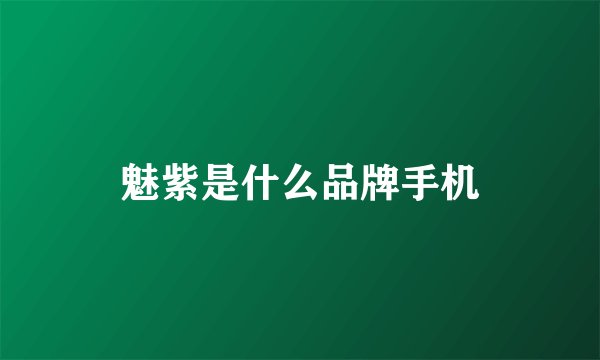 魅紫是什么品牌手机