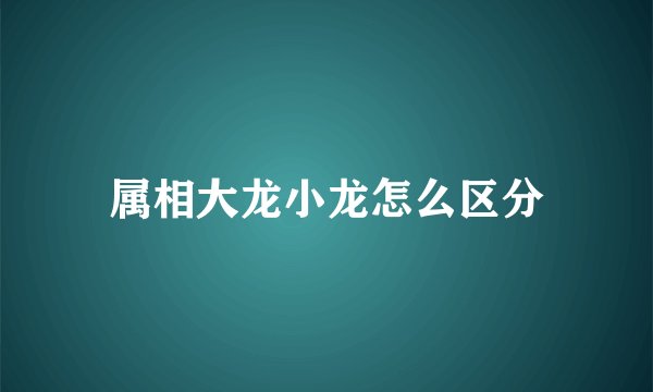 属相大龙小龙怎么区分