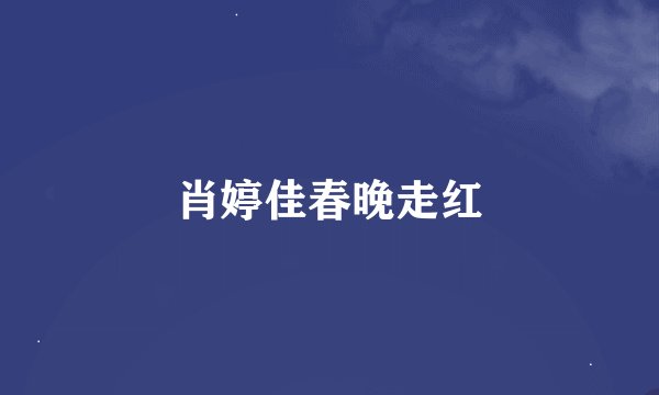 肖婷佳春晚走红