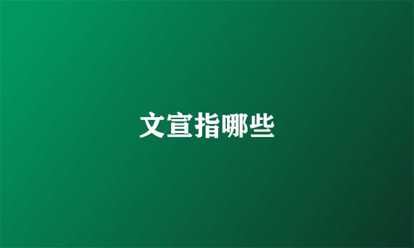 文宣指哪些