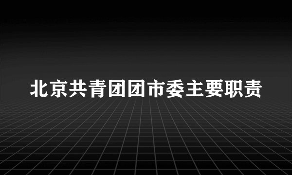 北京共青团团市委主要职责