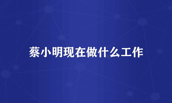 蔡小明现在做什么工作