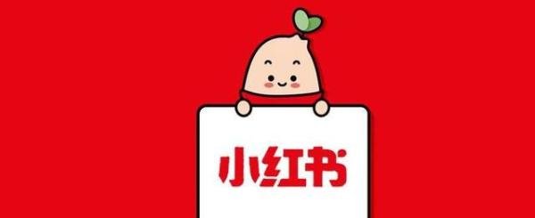 自媒体有哪些平台？