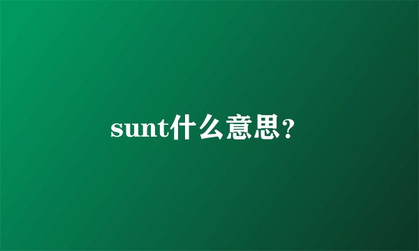 sunt什么意思？