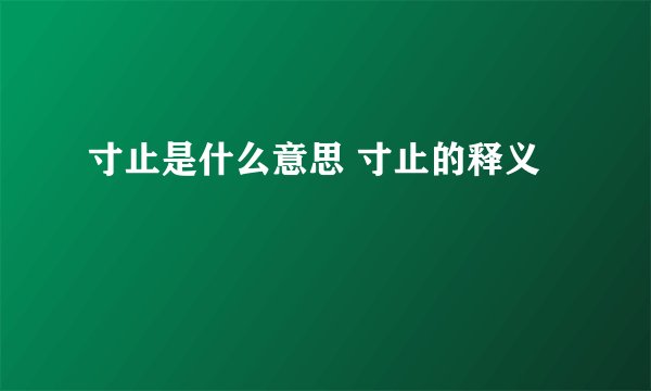 寸止是什么意思 寸止的释义