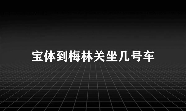 宝体到梅林关坐几号车