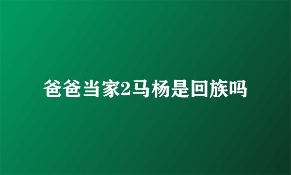 爸爸当家2马杨是回族吗