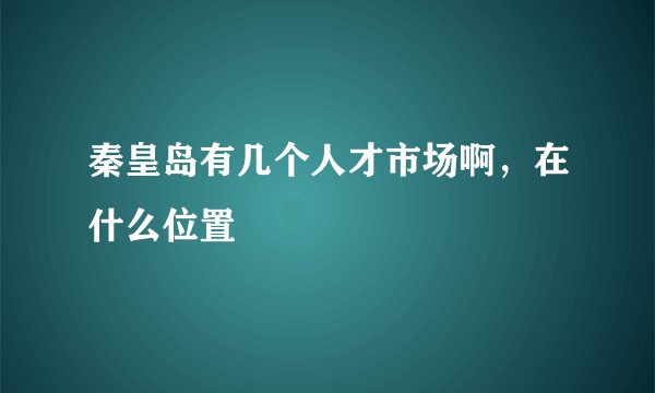 秦皇岛有几个人才市场啊，在什么位置