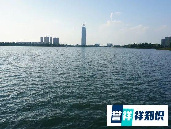 2019实用技术 | 水生植物定向控制的水域生态修复重建技术