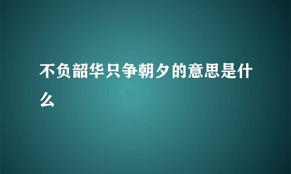 不负韶华只争朝夕的意思是什么