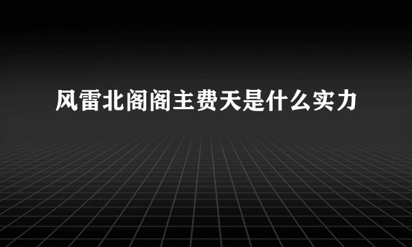 风雷北阁阁主费天是什么实力