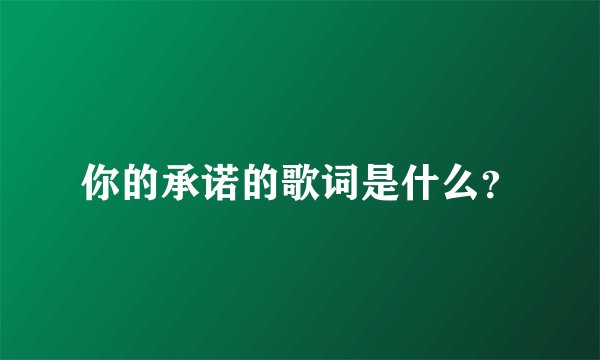 你的承诺的歌词是什么？