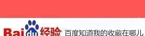 百度知道我的收藏在哪儿