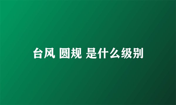台风 圆规 是什么级别