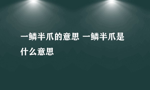 一鳞半爪的意思 一鳞半爪是什么意思