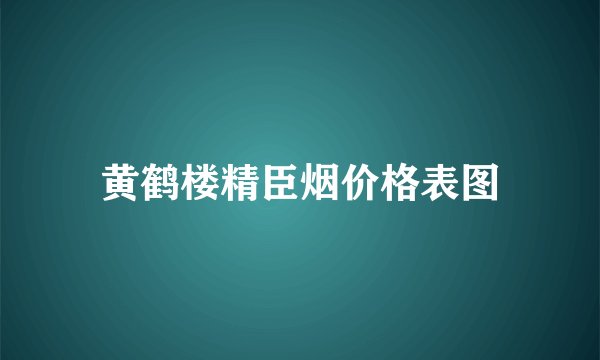 黄鹤楼精臣烟价格表图
