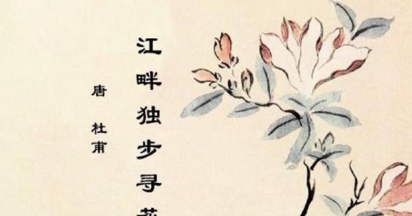 《江畔独步寻花》意思 诗意 江畔独步寻花其三的古诗
