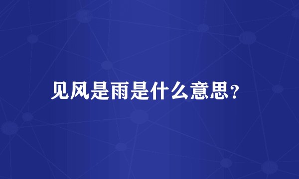 见风是雨是什么意思？