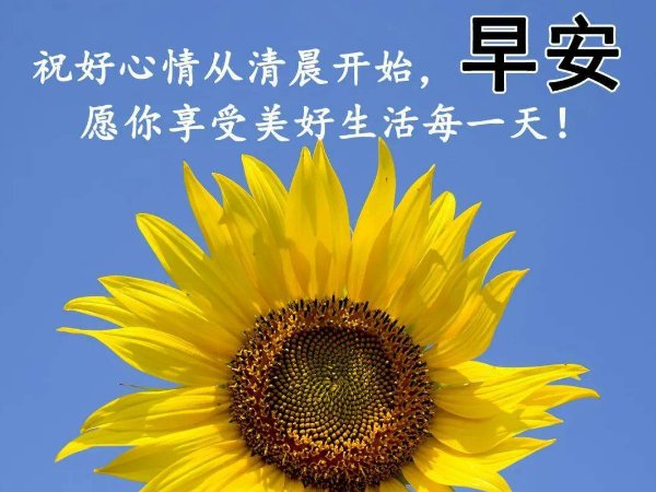 问候早上好的祝福语