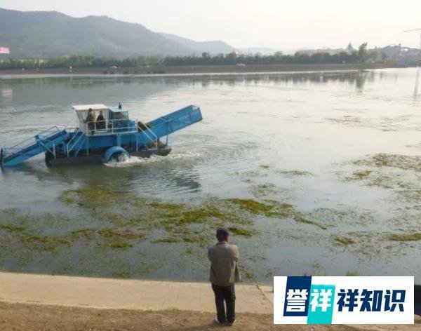2019实用技术 | 水生植物定向控制的水域生态修复重建技术