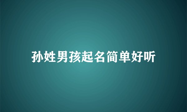 孙姓男孩起名简单好听