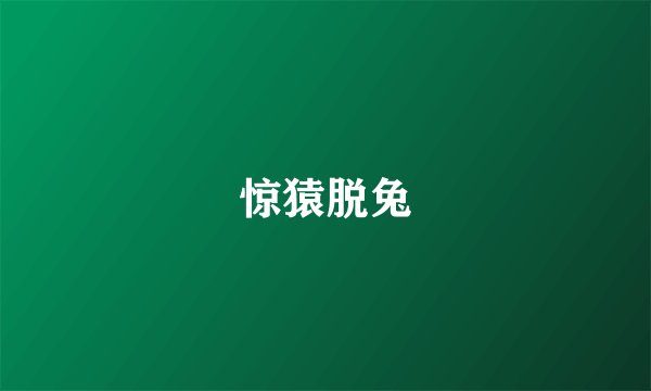 惊猿脱兔